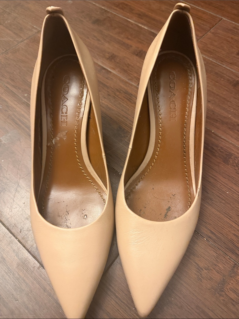 Coach Nude Pointed-Toe Leather Pumps